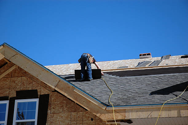 Best Gutter Installation and Roofing  in Gunter, TX