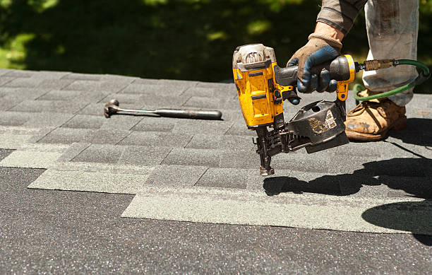 Best Roof Gutter Cleaning  in Gunter, TX